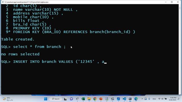 SQL CH4 - INTEGRITY CONSTRAINTS смотреть онлайн