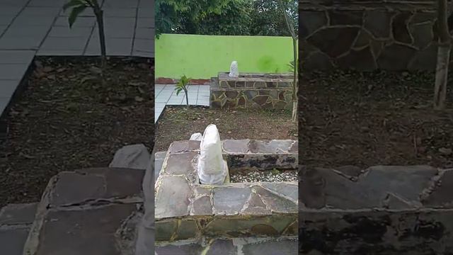 Syeikh Bukhari ayahanda Syeikh Abdul Karim, serta makan Syeikh Muafa adik Syeikh Abdul Karim смотреть онлайн