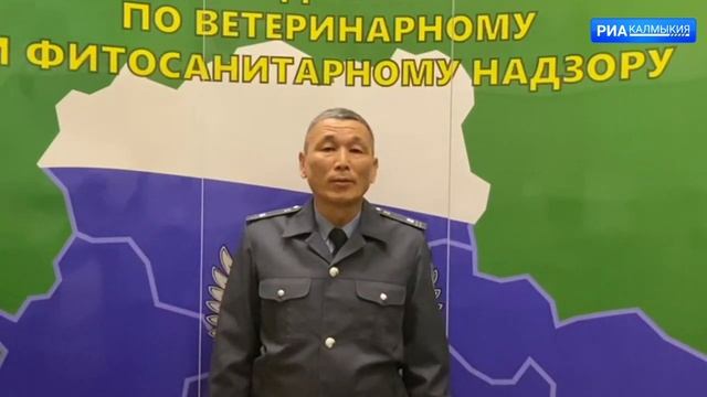 Управлением Россельхознадзора проведен обязательный профилактический визит смотреть онлайн