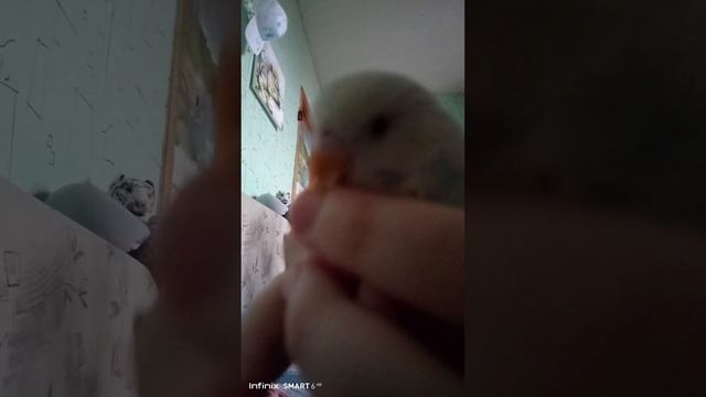 Несколько минут из жизни Микроба228 смотреть онлайн