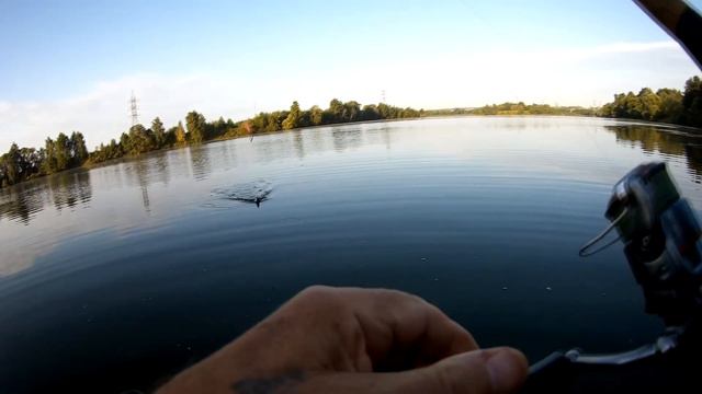 20 августа 2021 года Верхняя Москва река Отводной поводок! ОКУНЬ! смотреть онлайн