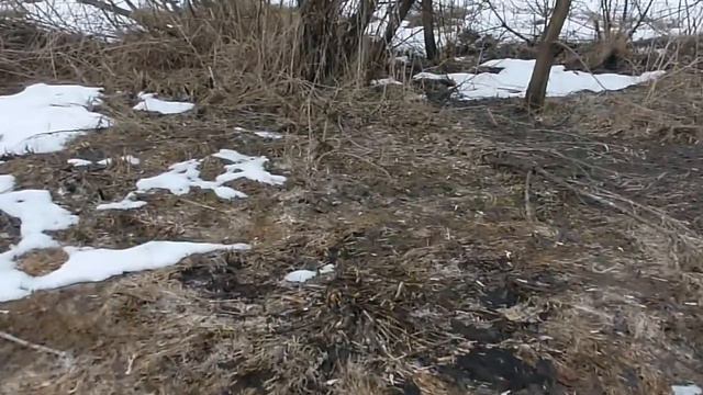 Велопрогулка 26 марта 2014 смотреть онлайн