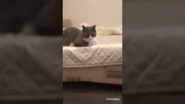 У чем песню привлечь внимание и сказку рассказать 1 часть смотреть онлайн