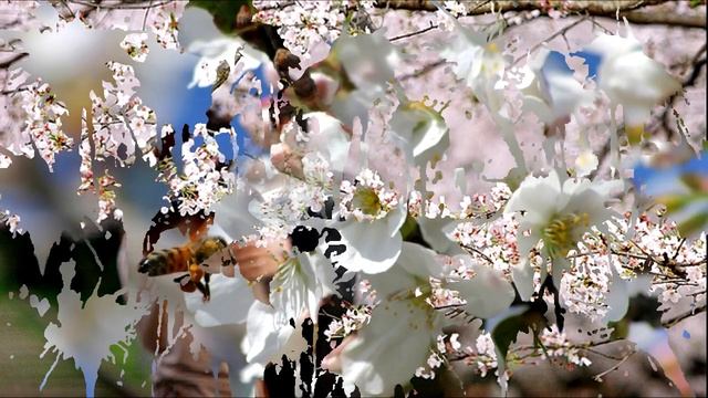Привет, Весна смотреть онлайн