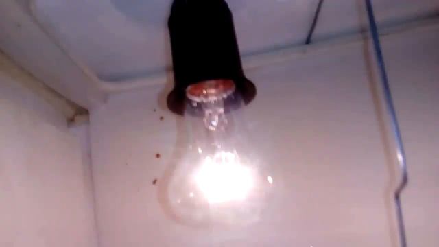 Как мы сделали из холодильника инкубатор смотреть онлайн