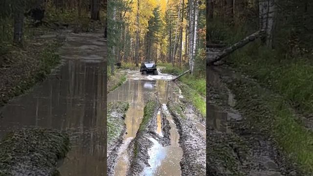 В гостях в Томске на охоте Вездеходы Соболь смотреть онлайн