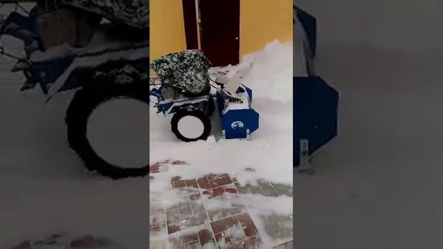 23 января 2016 г. смотреть онлайн