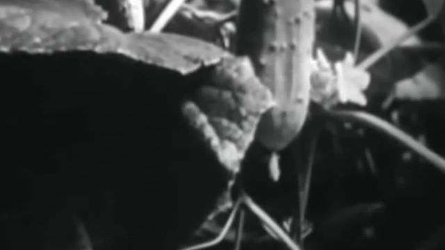 Углекислый Газ смотреть онлайн