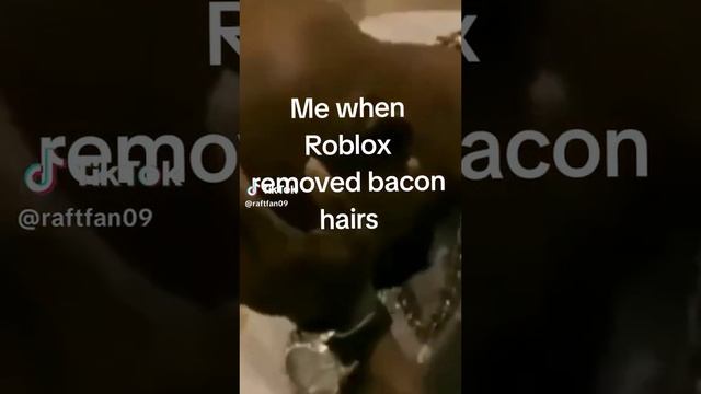Bruh Bacon hairs are a Legends just...why... #roblox #meme #gaming #trending смотреть онлайн