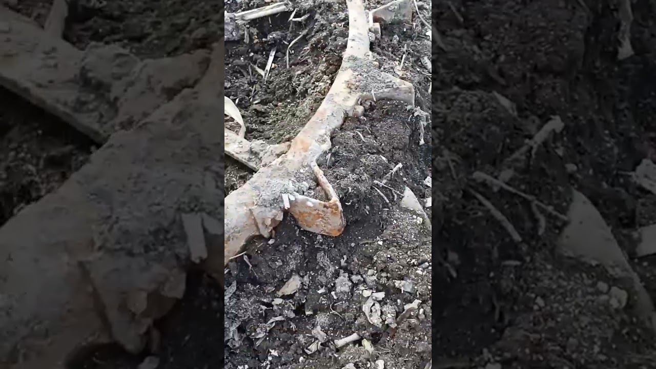 неизвестное колесо смотреть онлайн