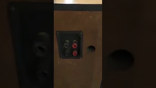 Lo-D HS-9100D смотреть онлайн