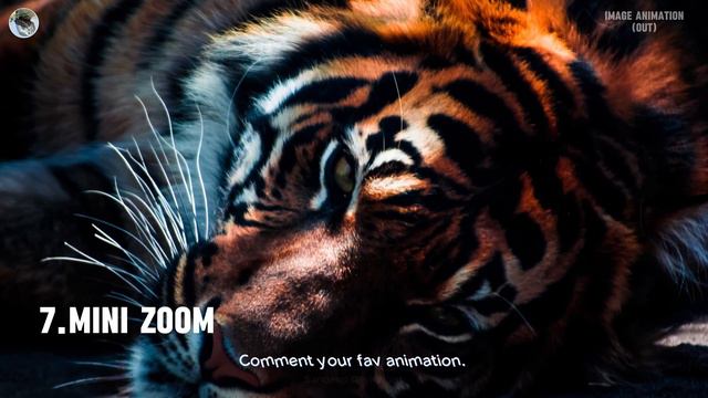 Image Animations (OUT) | Capcut 2024 смотреть онлайн