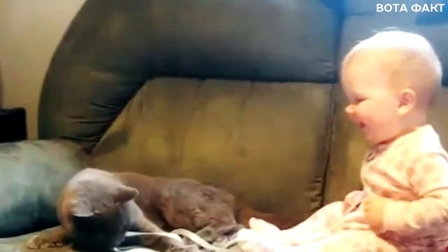 14 ПРИЗНАКОВ, ЧТО КОТ ВАС ЛЮБИТ смотреть онлайн