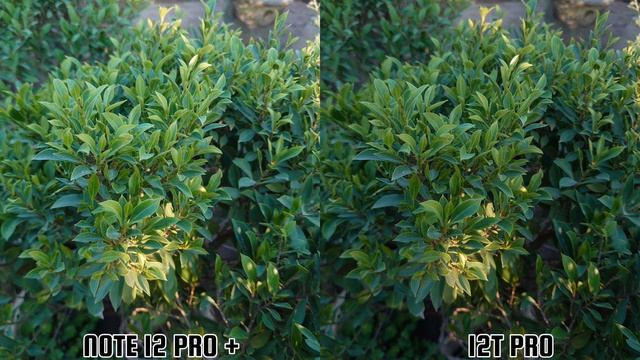 Redmi Note 12 Pro Plus Vs Xiaomi 12T Pro | Camera Test смотреть онлайн