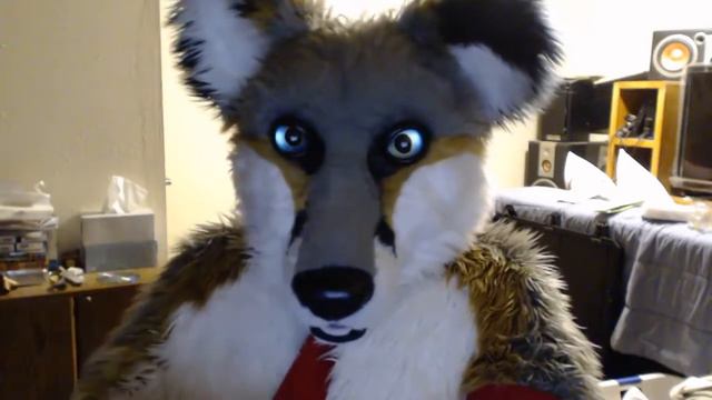 Furry Pride - Foxler Uncensored