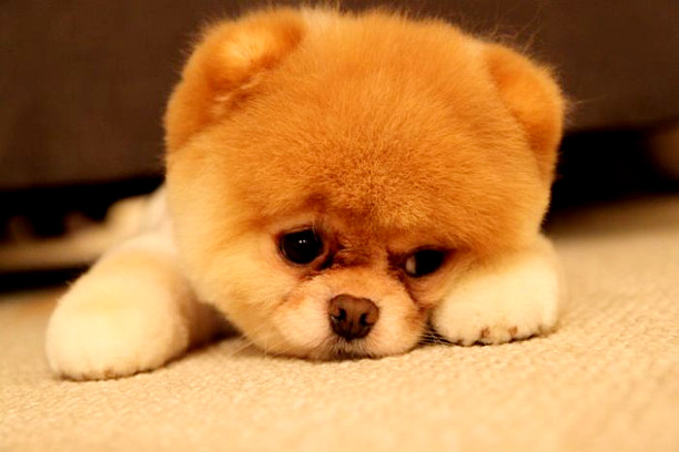 релакс музыка смотреть онлайн