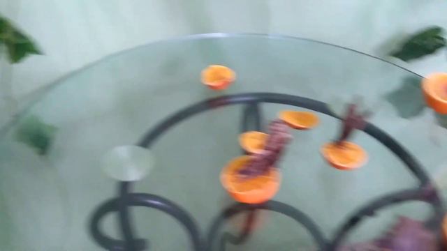 Выставка живых тропических бабочек в Астрахани 2019 #ВыставкаЖивыхТропическихБабочеквАстрахани смотреть онлайн