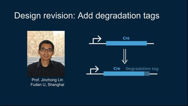 2019 Fudan TSI present R-Evolution смотреть онлайн