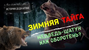 МЕДВЕДЬ-ШАТУН ИЛИ ОБОРОТЕНЬ? ЗИМНЯЯ ТАЙГА | ТАЕЖНЫЕ ИСТОРИИ, РАССКАЗЫ БЫВАЛЫХ ОХОТНИКОВ