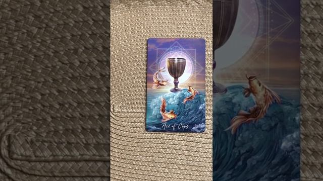 КАРТА ДНЯ🌟Аффирмация🌟Я чувствую любовь повсюду🌟Мои мечты сбываются🌟Мой день наполнен счастьем🌟 смотреть онлайн