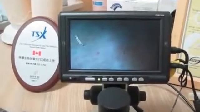 Корректирующее белье из бамбукового волокна смотреть онлайн