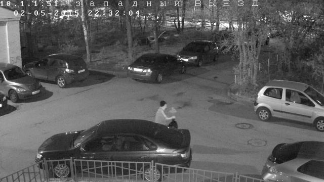 Злодей выкопал и украл сирень возле дома смотреть онлайн
