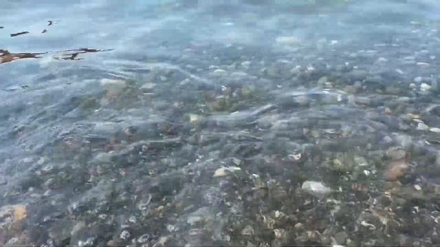 Крым Морское 03 08 2022 смотреть онлайн