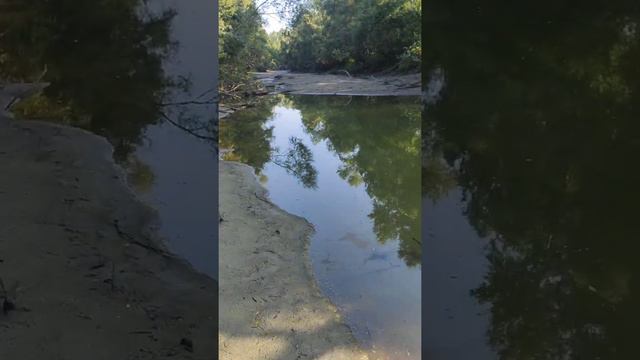 Второй выезд на рыбалку#2#рыбалкарыба#сад смотреть онлайн