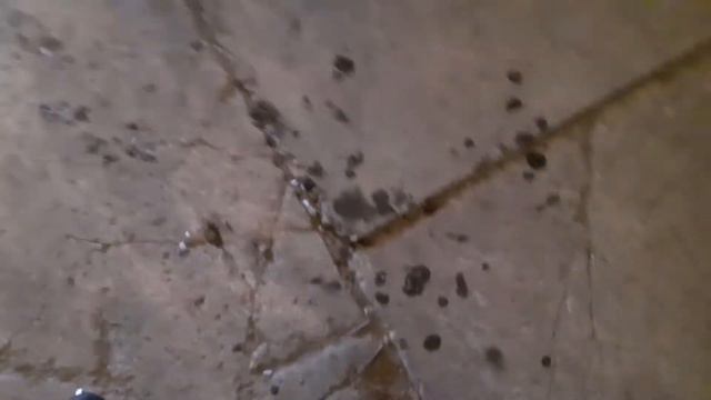 22 января 2021 год смотреть онлайн