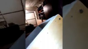 Улей из фанеры или дерева, что лучше?