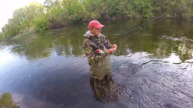 Трудовой голавлик. Отчет о рыбалке смотреть онлайн