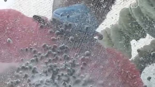 Кармин | Как это сделано | Carmin. Mexico