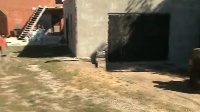 Штукатурка толщ. до 12 см. и итоги строительного сезона. смотреть онлайн