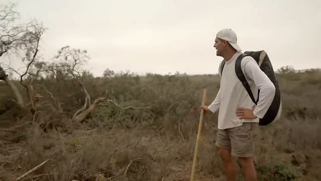 Frank se arrisca muito ao chegar perto de duas cobras mortais | Wild Frank | Animal Planet Brasil смотреть онлайн