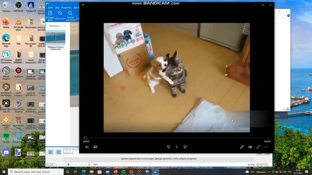 Обзор Программы Remove Logo Now - Удаление Водяного Знака на Видео смотреть онлайн