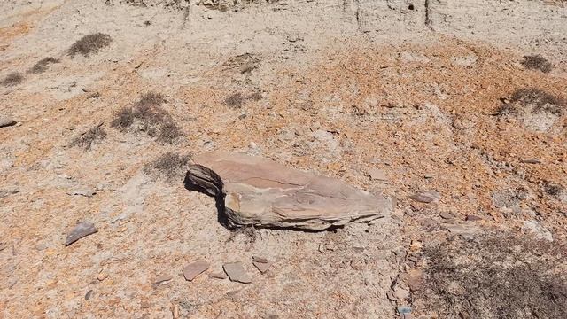Корсак-Бас смотреть онлайн