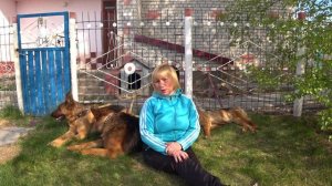 Как разговаривать с собакой? Советы начинающим собаководам.