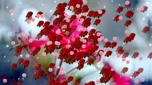 Видеофон!!! С 8 Марта!!! Ранняя весна - футаж!!!