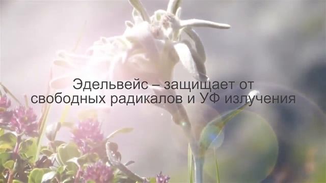 FLORAEDA от NHT Global система защищает чувствительную кожу смотреть онлайн