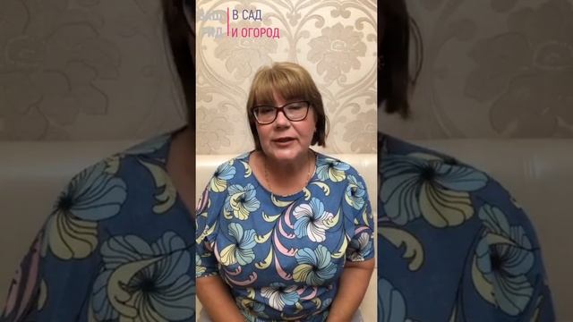 Выращиваете ли Вы на даче гортензии? смотреть онлайн