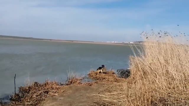Ностальгия по рыбалке🦈😷😆 смотреть онлайн