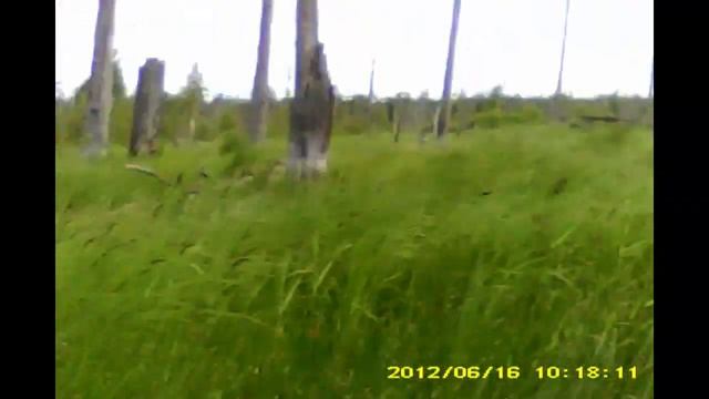 Озеро Нунгоша, Ленинградская область, Бокситогорский район смотреть онлайн