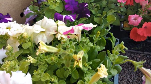 Ура!!! Я еду в парикмахерскую!!! А еще...