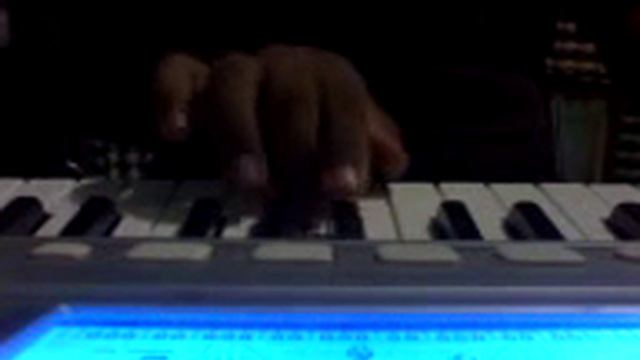 Casio CtK 810 In Progressive Sounds