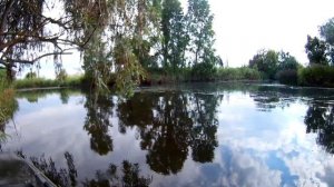 Подводная охота  в Ростовской области 14