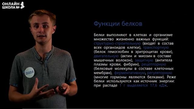 Обмен белков жиров и углеводов. Видеоурок 21. Биология 8 класс