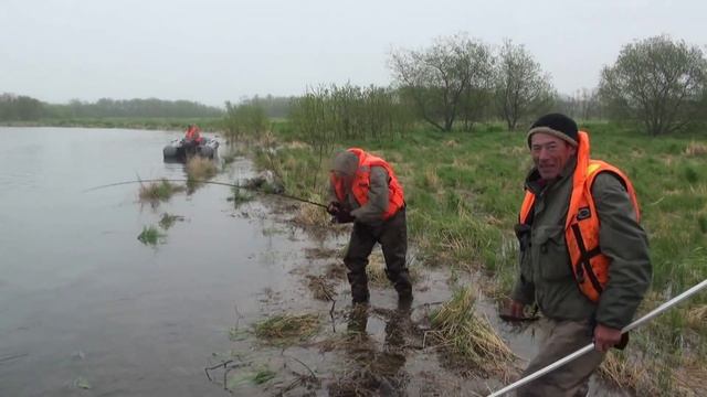 Камчатская ловля на ультралайт. Ловля королевского лосося-чавычи. Река Большая смотреть онлайн