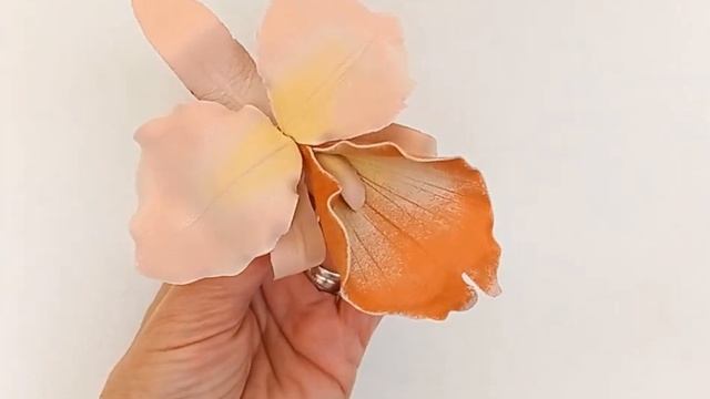 1 ноября 2022 г. смотреть онлайн