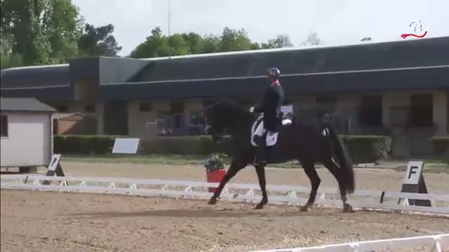 Saumur-2014-CDI3-Day2-GrandPrix-CarlHester-DanceswithWolves-Winning