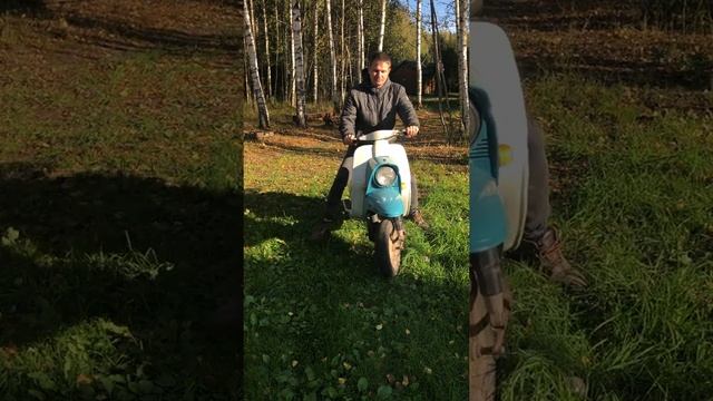 Мотороллер Вятка ВП-150М электрон, муравей смотреть онлайн